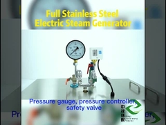 LDZK-0.02-0.7 Wysokociśnieniowa elektryczna wytwornica pary